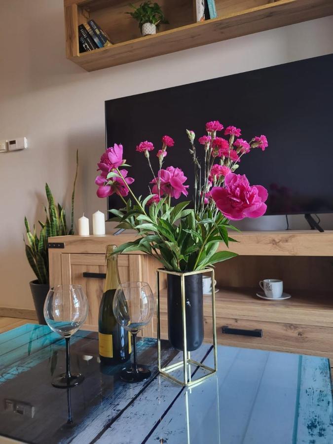 Apartament Perelka Jelenia Góra Esterno foto